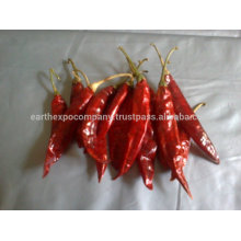 FROZEN RED CHILLI